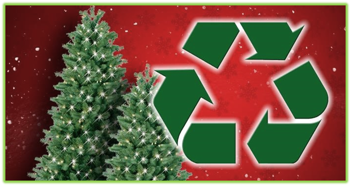 Christmas Trees with Recycle Symbol